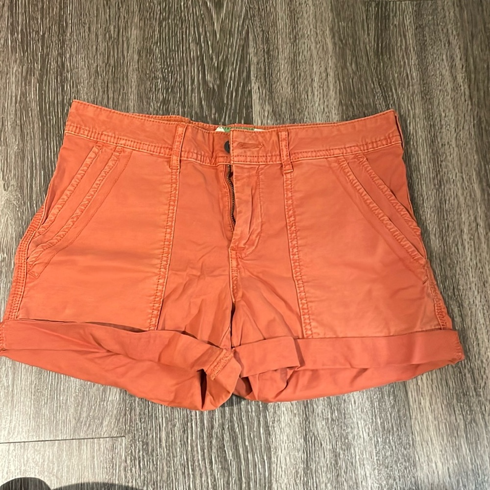 Anthropologie The Wanderer Shorts!